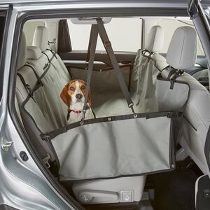 Scout's Mobile Mudroom