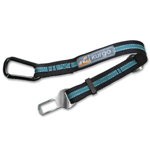 Seat Belt Tether