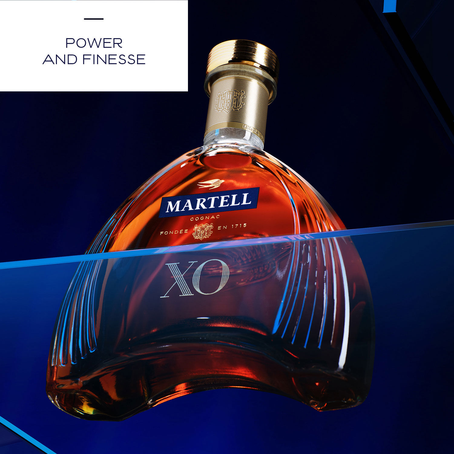 い出のひと時に、とびきりのおしゃれを！ MARTELL XO COGNAC 1000ML ブランデー