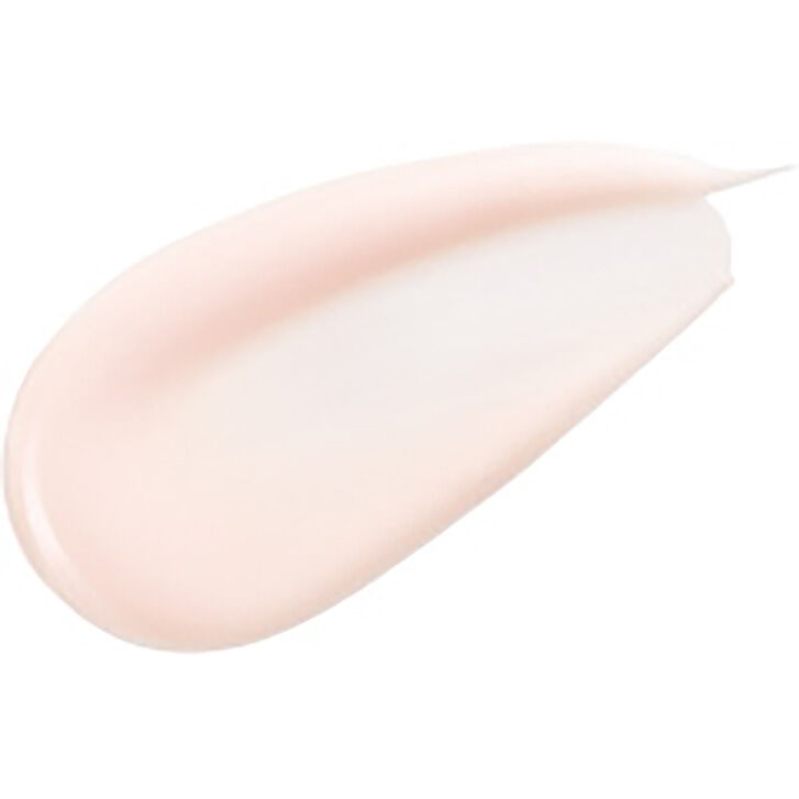 アネッサ デイセラムN 30mL <日焼け止め>